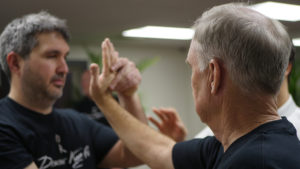 Tai Chi as a Martial Art in Fairfax